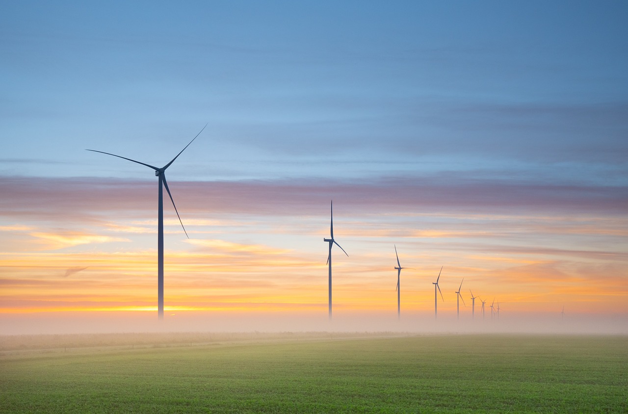 Wind farm at sunset